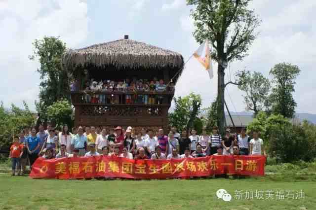 美福 放飞梦想,野外拓展